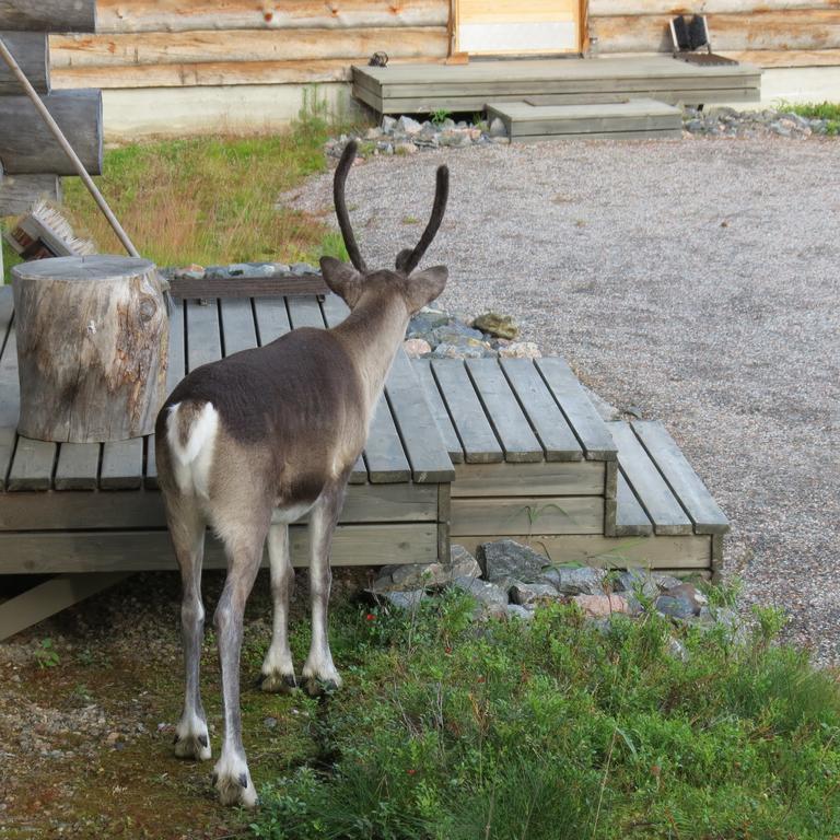 Dasher Apartment Äkäslompolo Eksteriør bilde